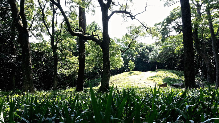 石垣山一夜城歴史公園　天守跡