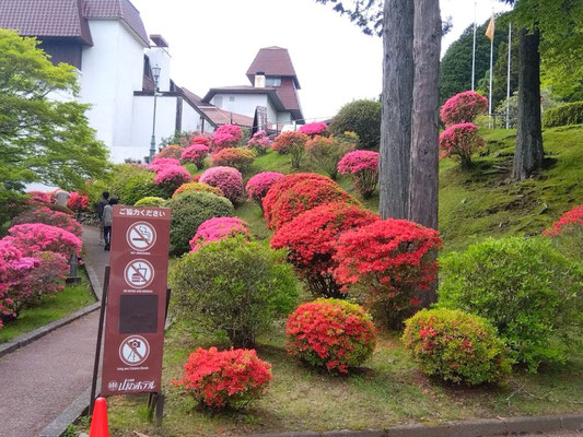 つつじ園入口