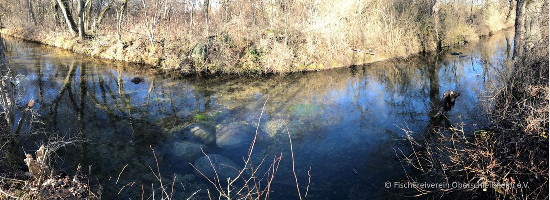 Flusssteine mit Wasserpflanzen