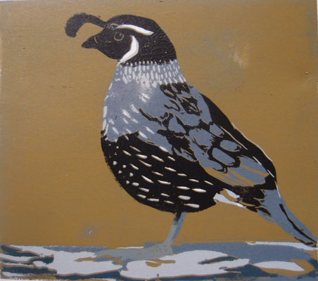 Schopfwachtel, 2025, Linolschnitt auf Papier, 16 cmx 14 cm
