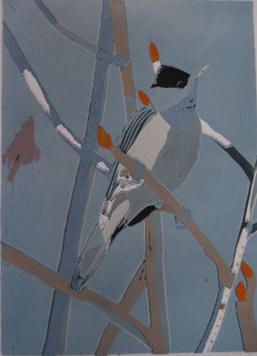 Mönchsgrasmücke, 2025, Linolschnitt auf Papier, 21 cm x 29 cm
