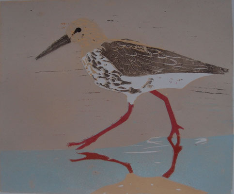 Alpenstrandläufer, 2025, Linolschnitt auf Papier, 24,7 cm x 21,2 cm