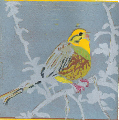 Goldammer, 2024, Linolschnitt auf Papier, 15 cm x 15 cm