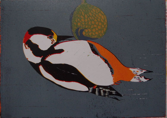Buntspecht, 2025, Linolschnitt auf Papier, 21 cm x 15 cm