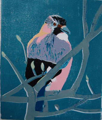 Eichelhäher, 2025, Linolschnitt auf Papier, 21 cm x 25,5 cm