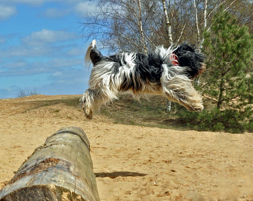 Hops, für eine fliegende Holländerin wie mich war es kein Problem.