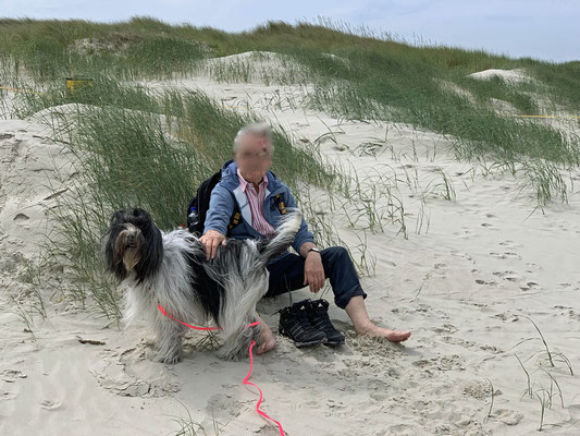 Am nächsten Tag waren wir wieder am Strand. 