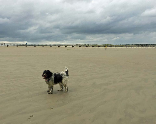 ... zum Strand gefahren.