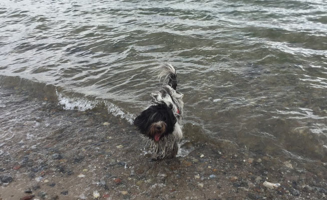 In Grömitz, ob zu Wasser oder ...