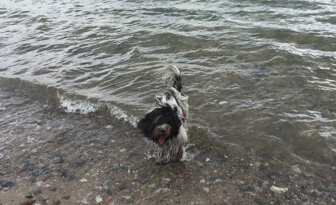 In Grömitz, ob zu Wasser oder ...