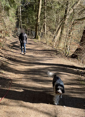 ... in die Fischbeker Heide. Es waren keine Fische da.