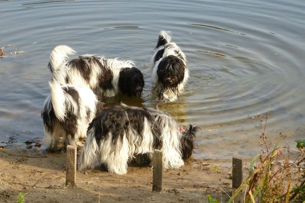 Mmmhh, Teichwasser ist lecker!