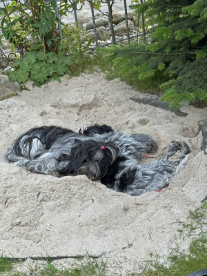 Die Sandkiste ...