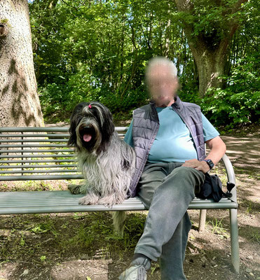... und wir waren wieder in der Hahnheide unterwegs.