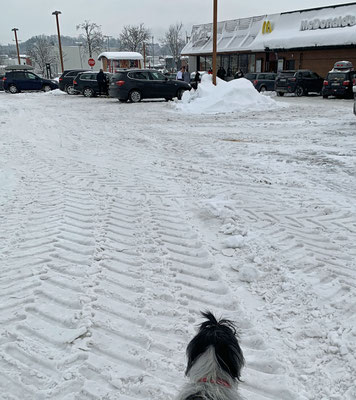 Auf dem Parklatz lag so viel Schnee, daß ein Bagger beim Aufräumen war.