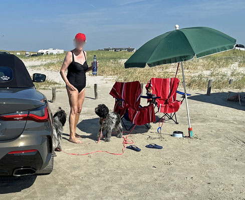 Herrchen hat das Auto geparkt, dann haben wir alles ausgeladen und ...