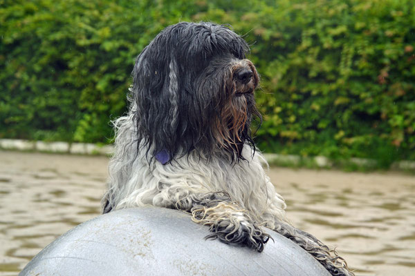 Ball? Nööö, geht gar nicht; auch nicht, wenn er so groß ist wie dieser.