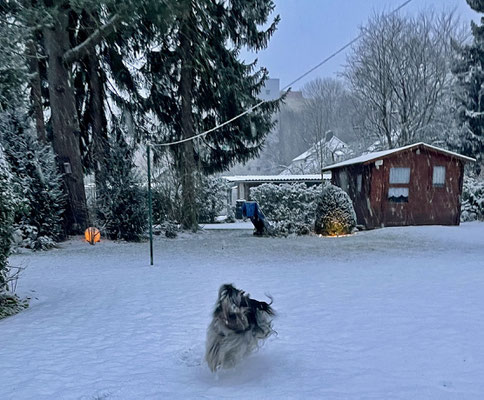 Ich sause im Garten umher ...