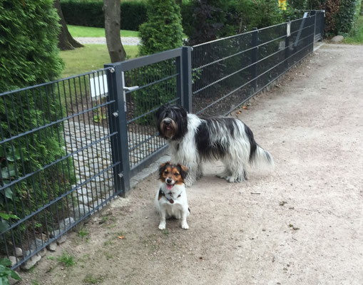 Das Ende einer Abendrunde mit Nörgly vor meiner Gartenpforte.