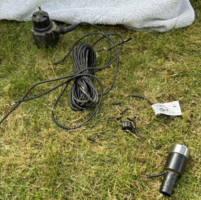 Herrchen hat die Lampe vom Teich ausgebaut und wollte nur einen Schraubenzieher holen.