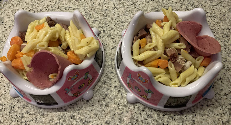 Unser Abendessen: gekochtes Maulfleisch vom Rind an Mini-Penne mit Wurzeln und Leinöl und einer Scheibe Wild-Wurst; gar nicht so schlecht!