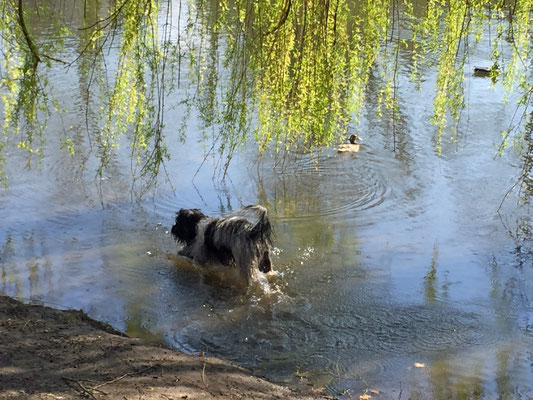 Ich gehe schon mal ins Wasser.