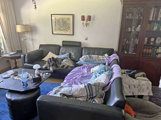 Frauchens Schlafzimmer ist frisch gestrichen. Deshalb schlafen wir im Wohnzimmer.