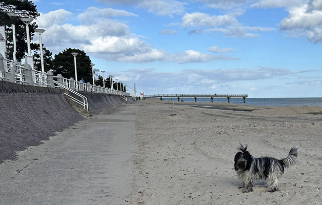 Diesmal waren wir in die andere Richtung zum Hundestrand unterwegs.