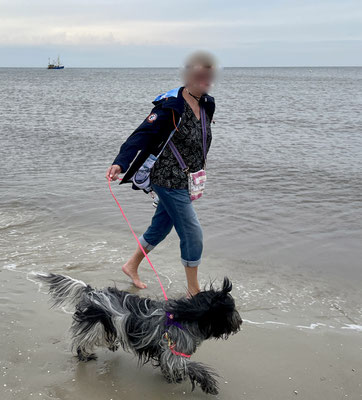 Es ist so schön am Strand!