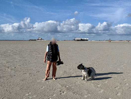 Dafür ist der Strand schön leer.