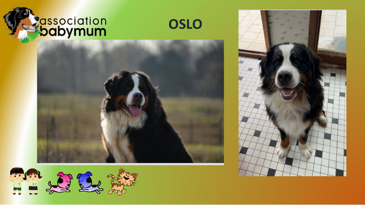 OSLO
