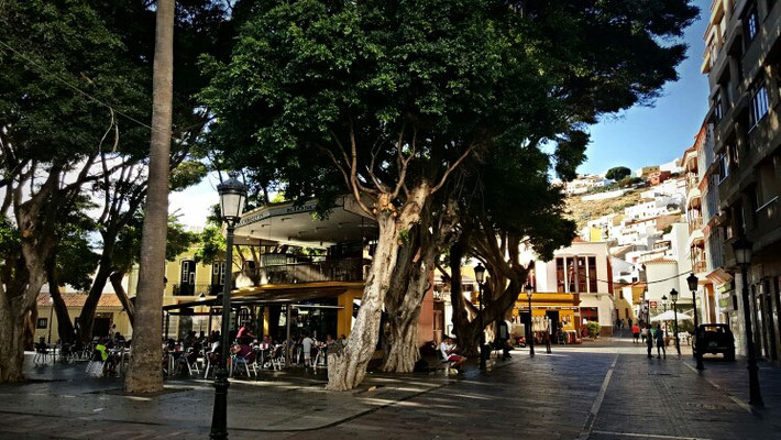 Plaza de la Constitution in San Sebastian und mein Lieblingscafe unter einem uralten Blätterdach