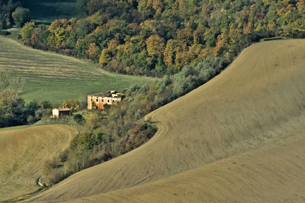 Crete Senesi, Autumn No. 14