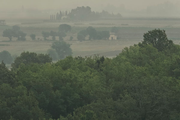 Maremma, Summer No. 12