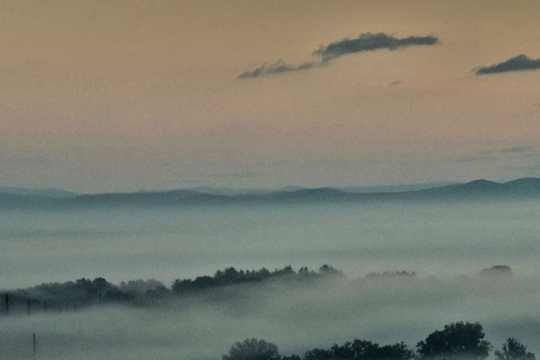 Maremma, Winter No. 2