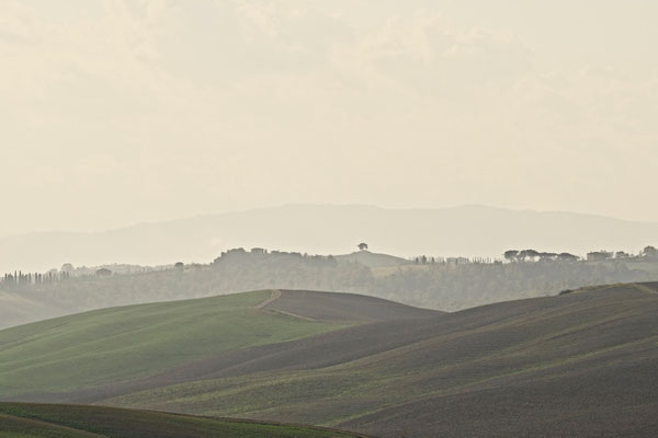 Crete Senesi, Autumn No. 28