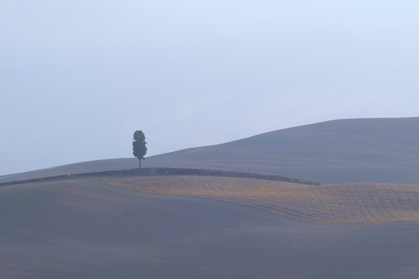 Crete Senesi, Autumn No. 29