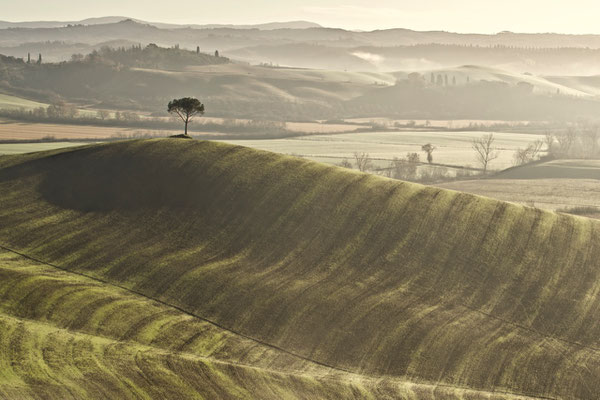 Crete Senesi, Winter No. 37