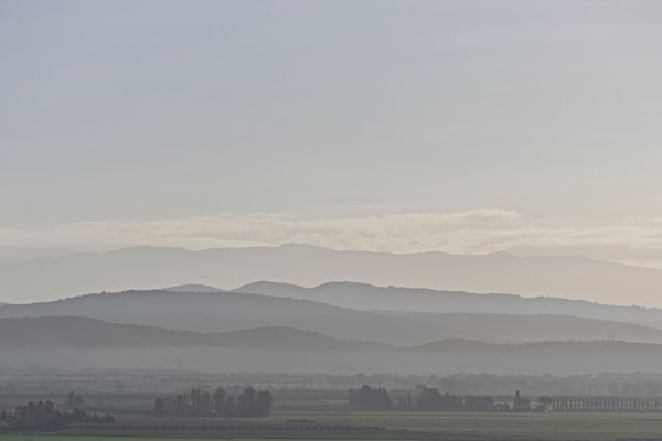 Maremma, Winter No. 15