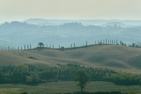 Crete Senesi, Summer No. 2