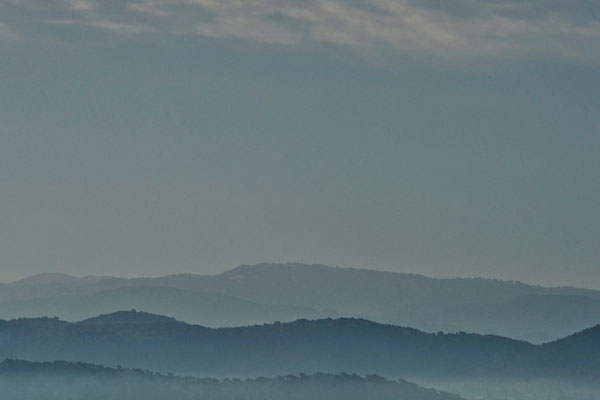 Maremma, Summer No. 4