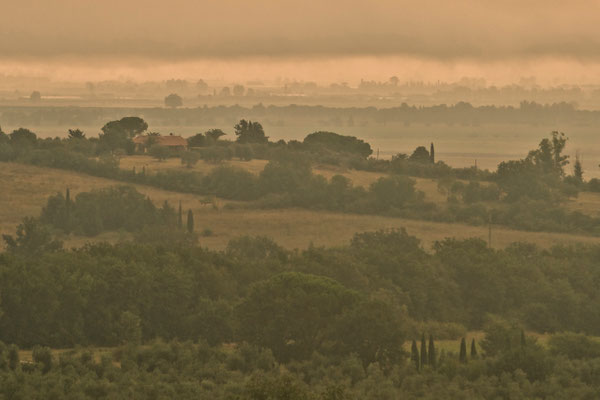 Maremma, Summer No. 11