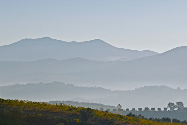 Monte Amiata, Autumn No. 3