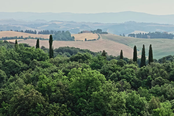 Crete Senesi, Summer No. 19