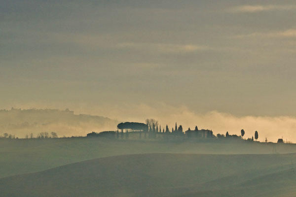 Crete Senesi, Winter No. 38