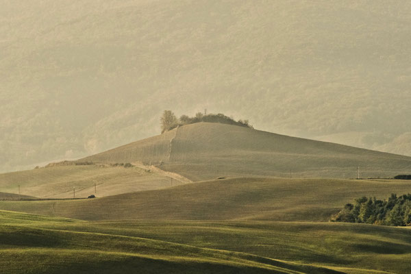 Crete Senesi, Autumn No. 18