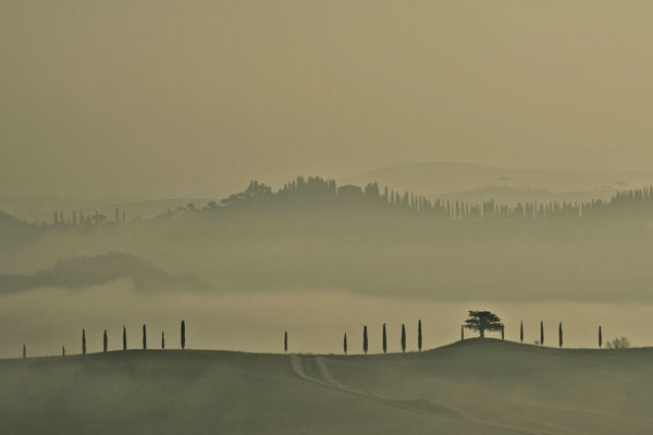 Crete Senesi, Winter No. 21