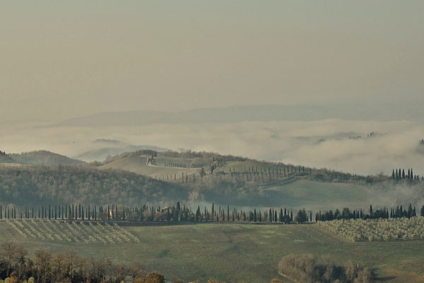 Crete Senesi, Winter No. 16