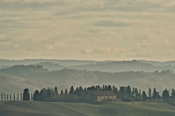 Crete Senesi, Autumn No. 6