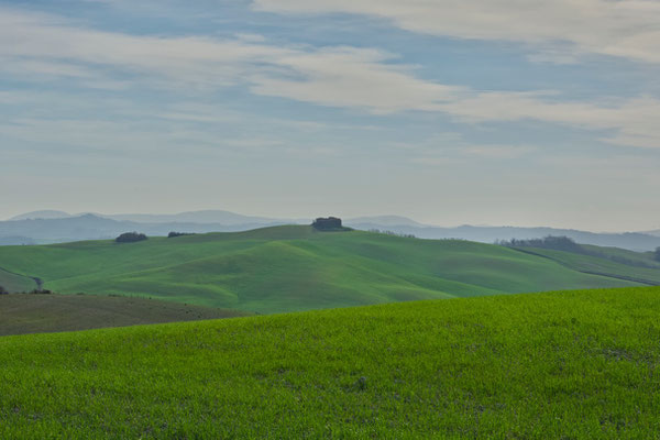 Crete Senesi, Winter No. 41